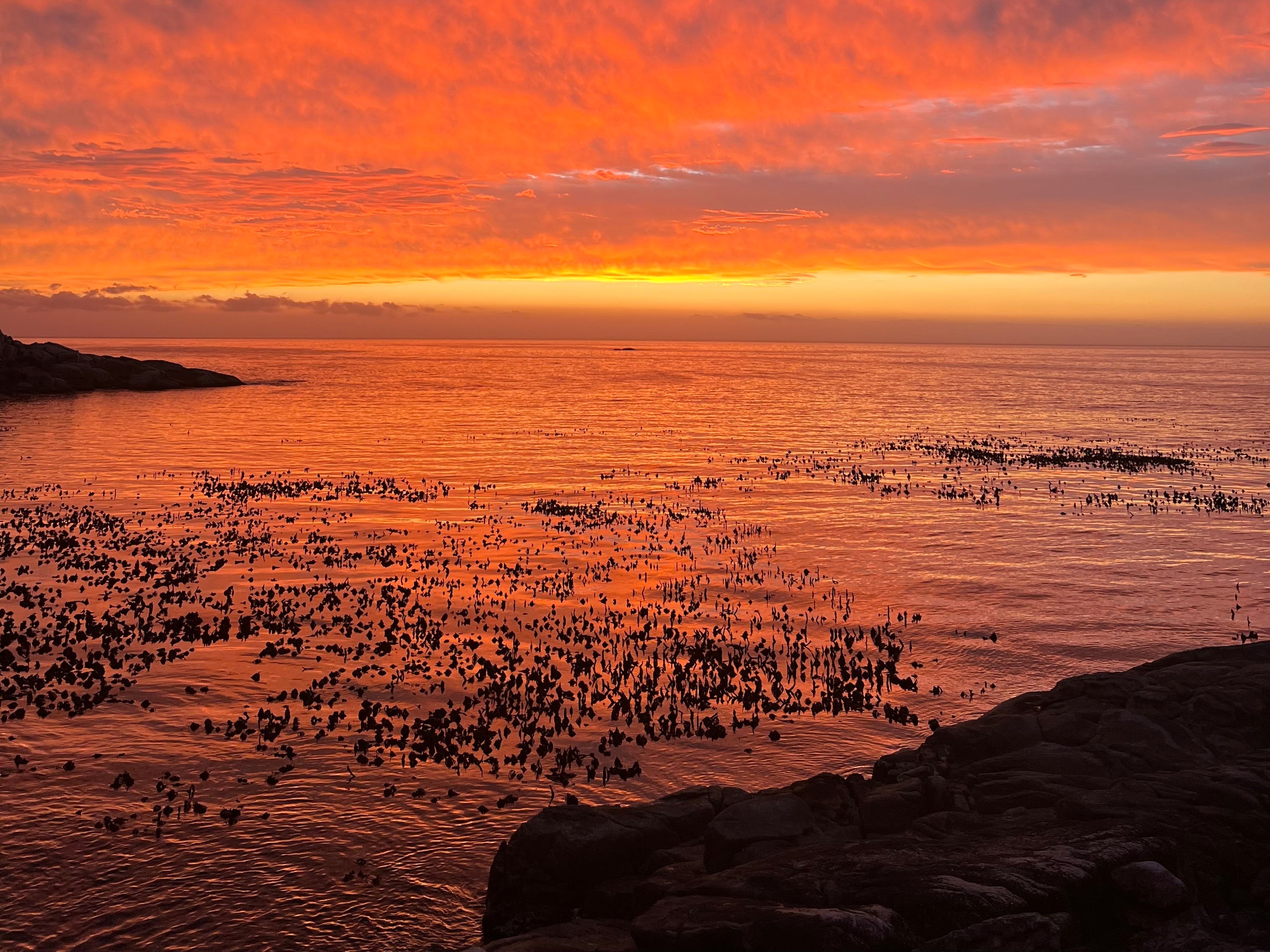 Thanks for all the LOVE - WEEK 3