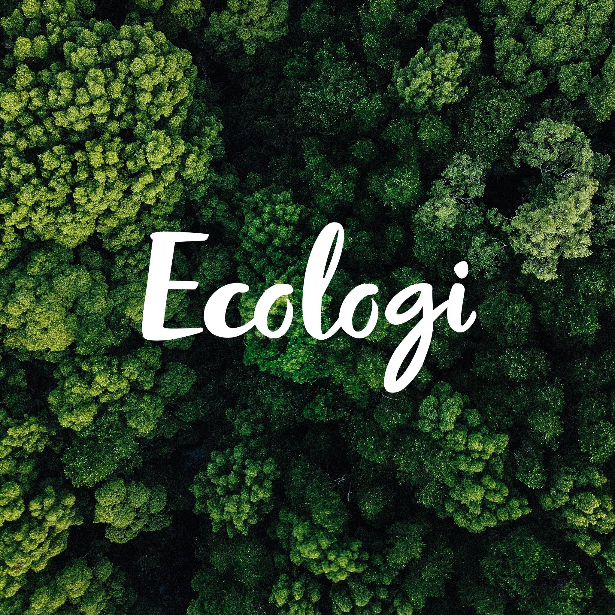 ECOLOGI X IMPERFECT POINTES. We are proudly the tree hugging type and so, for every Imperfect Pointes order, Ecologi will plant one tree to help support responsible Tree Planting efforts around the globe.